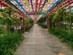 -南宫五洲植物乐园