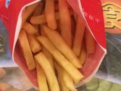 -上海海洋水族馆