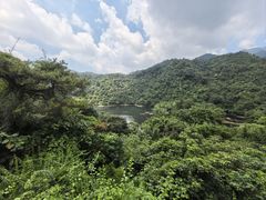-鼎湖山风景区
