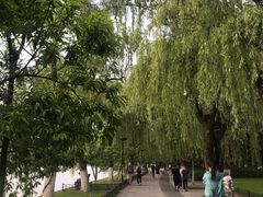 -柳浪闻莺公园