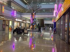 -KOI Thé(虹桥国际机场店)