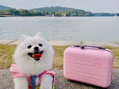 -上海月湖雕塑公园