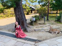 -哈利波特魔法世界