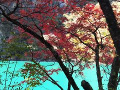 -叠溪松坪沟景区