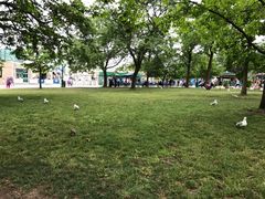 -尼亚加拉瀑布州立公园