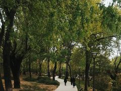 -元大都城垣遗址公园