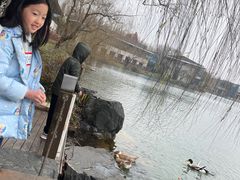 -上海怡沁园度假酒店