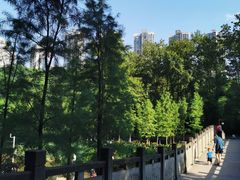 -重庆彩云湖湿地公园