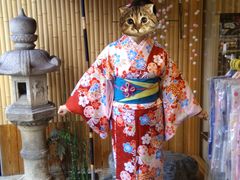 -京都冈本和服体验租赁店(祗园店)