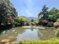 -中国茶叶博物馆(双峰馆区)