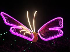 -长春市南湖公园