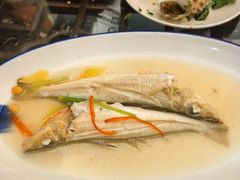 -吴记富苑(朝阳店)