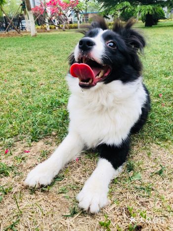 终于找到的靠谱老板～位置就在中体奥园北侧的底商