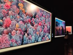 -罗红摄影艺术馆