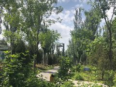 -东郊湿地公园