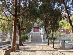 -泰山风景名胜区-普照寺