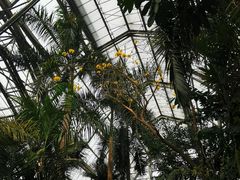 -南山植物园