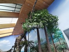 -延庆地质公园博物馆