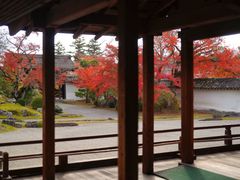 -醍醐寺