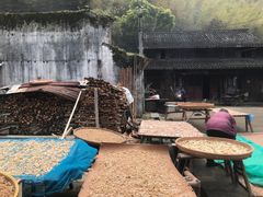 -鹿亭中村