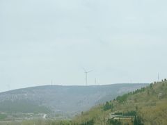 -山东福寿园发展有限公司(陵园)