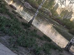 -群力丁香公园