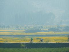 -万峰林风景区