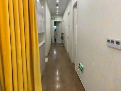 -YESIDO椰岛造型