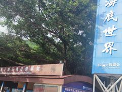 -亚龙湾海底世界