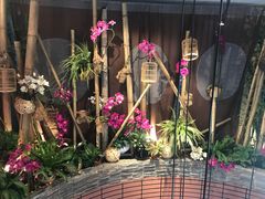 -拉面莊夢語＆中华料理八椿