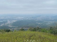 -黄埔油麻山森林公园