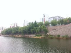 IMG_4660-青岛大学(金家岭校区)