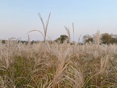 -盘龙城国家考古遗址公园