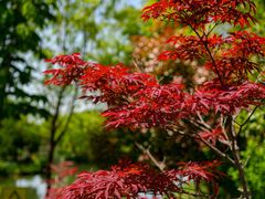 -东台西溪天仙缘景区