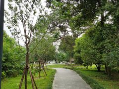 -福建鲤鱼洲酒店