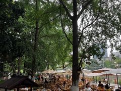 -成都市活水公园