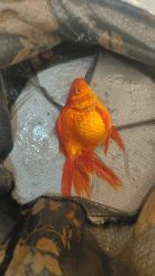 -巡鱼道·室内垂钓·渔具店