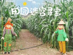 -光明小镇欢乐田园