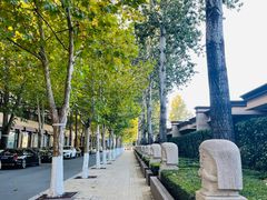 -春晖园度假酒店温泉