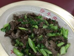 -文章牛肉汤
