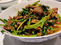 -壹盏灯(惠农店)