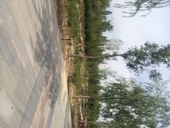 伊犁河风景区-伊犁河风景区