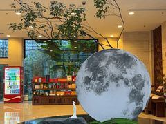 -九华山聚龙大酒店