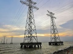 -宝安西湾红树林湿地公园