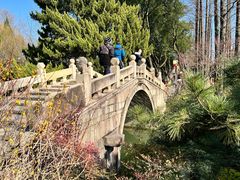 -上海醉白池公园