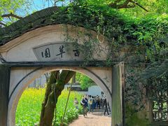 -绍兴鲁迅故里·沈园景区