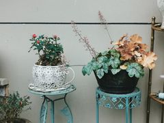 -留香花园(淮海街商业街店)