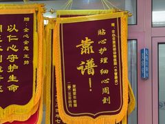 -全心全意连锁动物医院·微创中心·内科急重症·心脏专科(丰管路店)