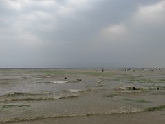 -日照海滨国家森林公园