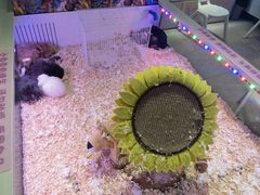 -大玩家(拱墅万达店)